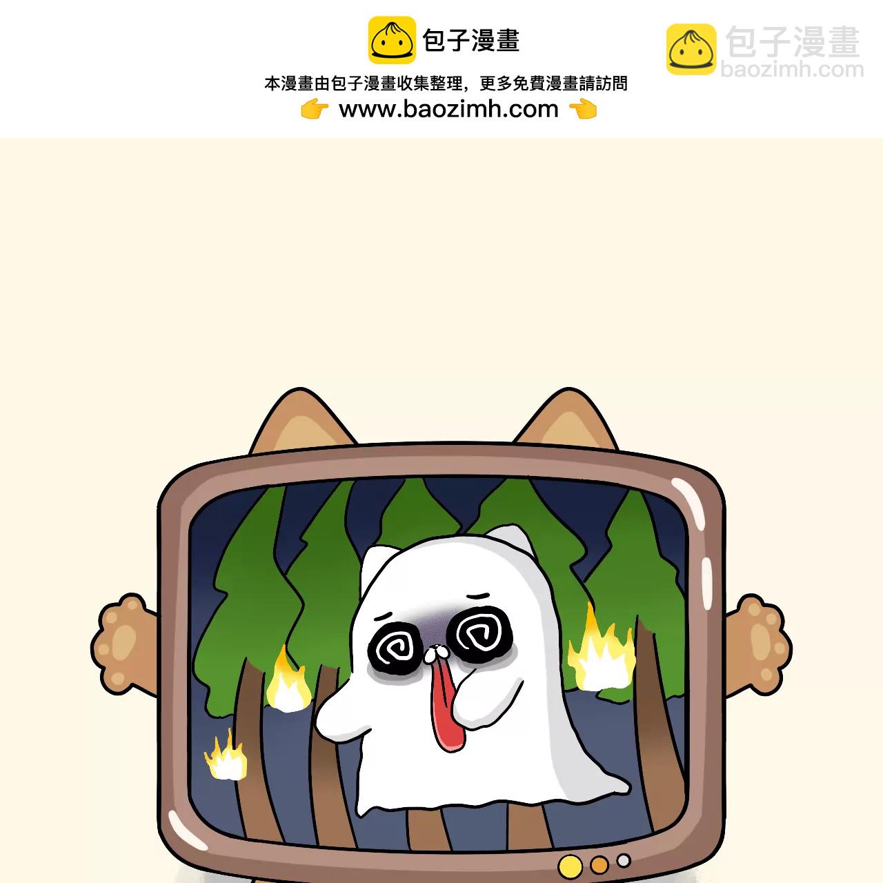 蛋蛋&喵喵 - 驚嚇喵喵 - 2