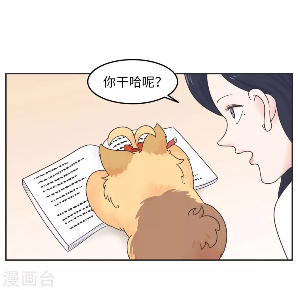 第15话 四六级，大战在即！-第15话