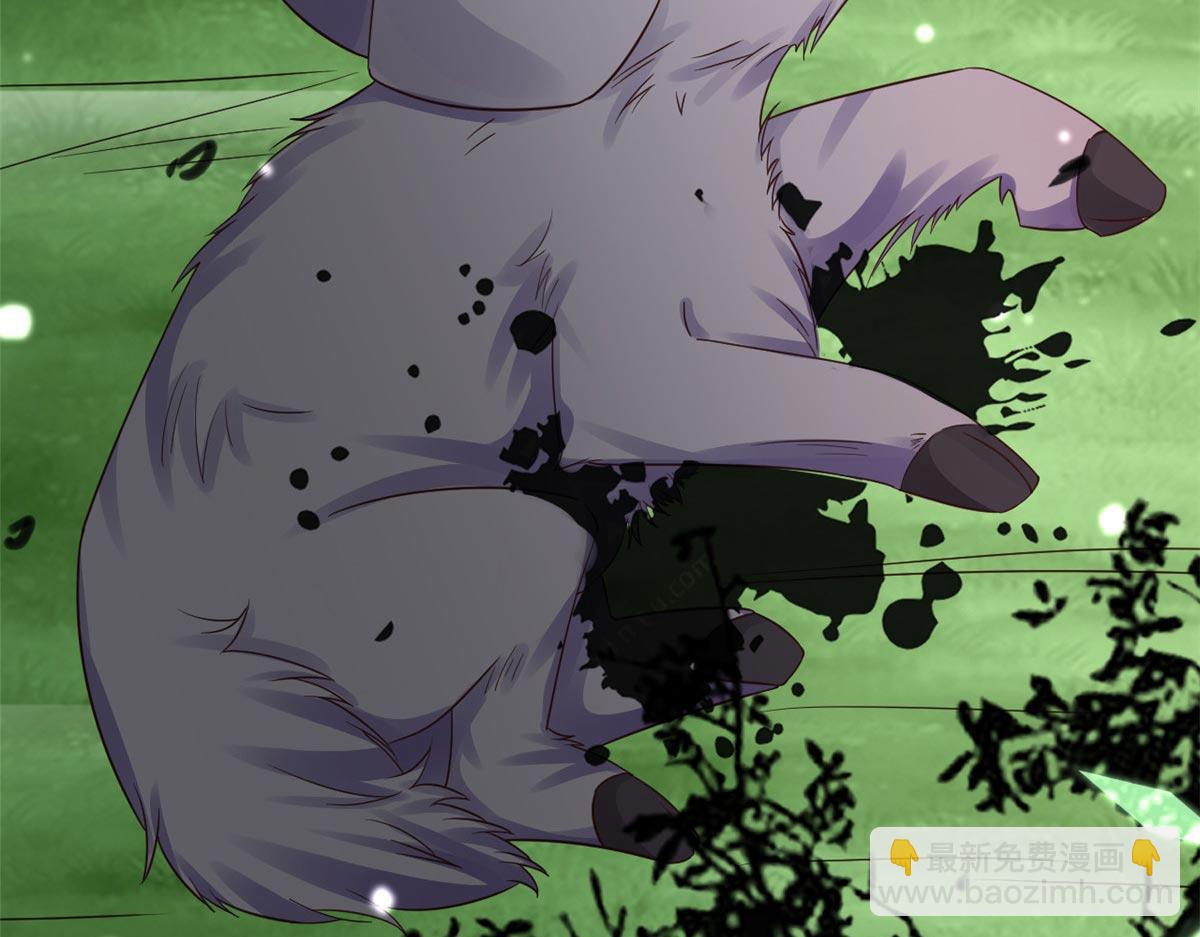 當大佬從花錢開始 - 95 無上仙途-雪淵原結局(3/3) - 3