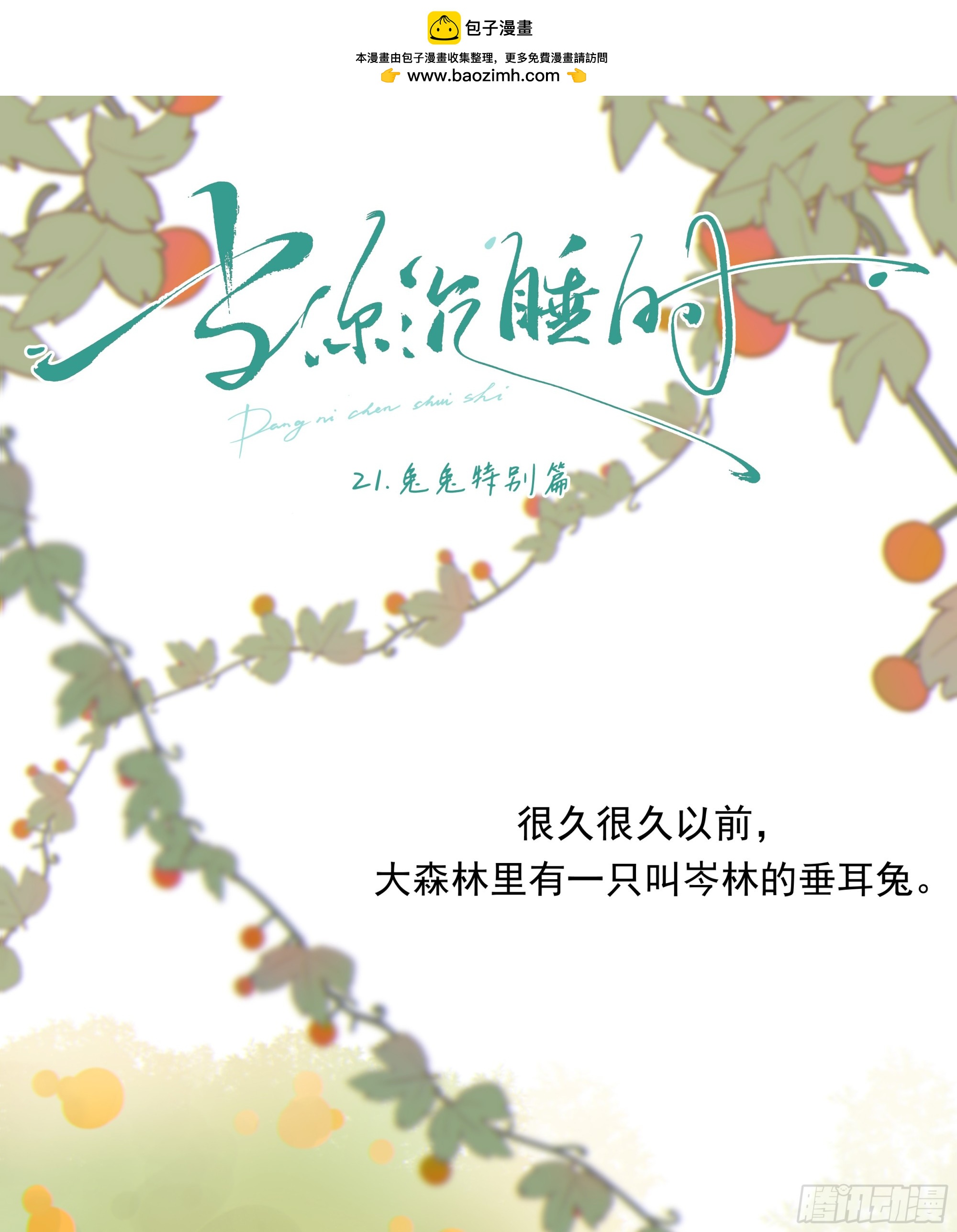 21.特别篇：兔兔游园会-第23话