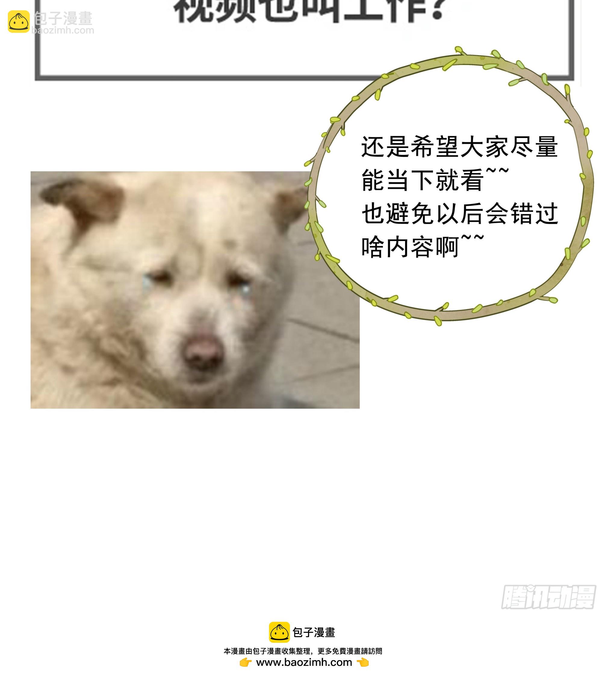 21.特别篇：兔兔游园会-第23话