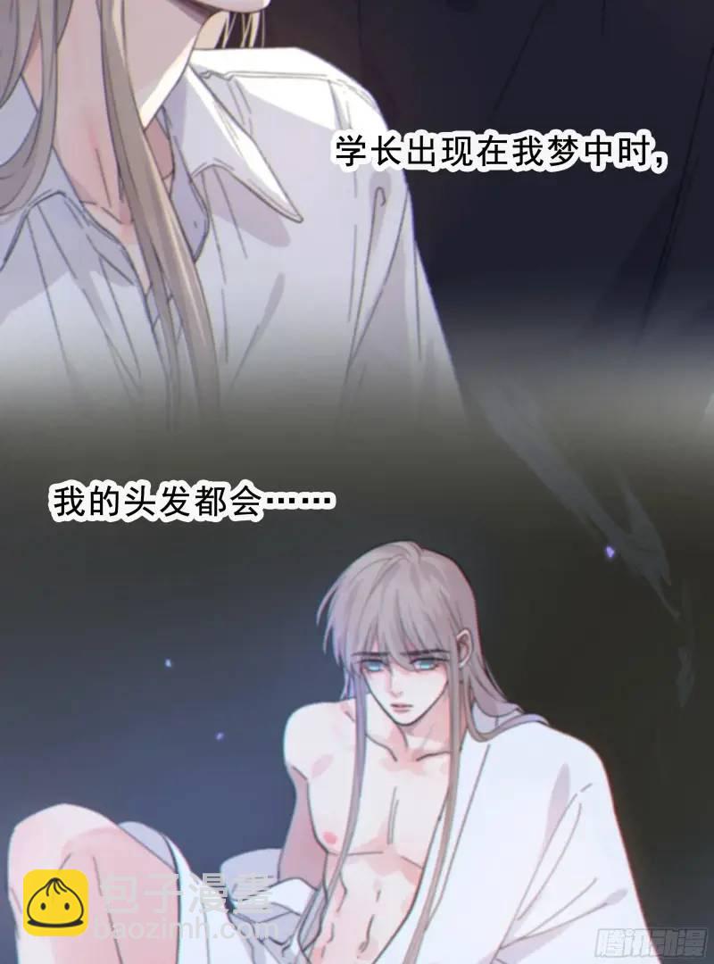 049. 不想醒来的梦(1/2)-第55话