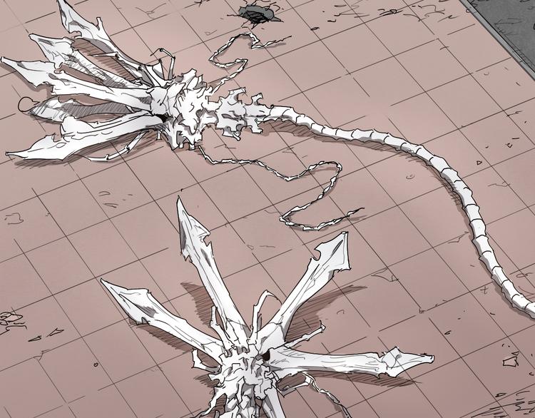 第23话 神发现-第23话