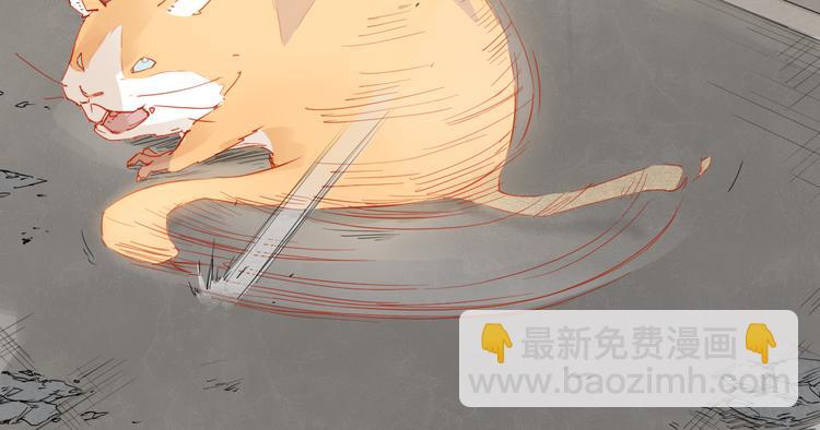 第33话 救星（上）(1/2)-第33话