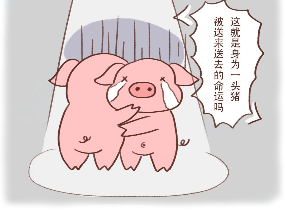 东坡肉的诱惑-第17话