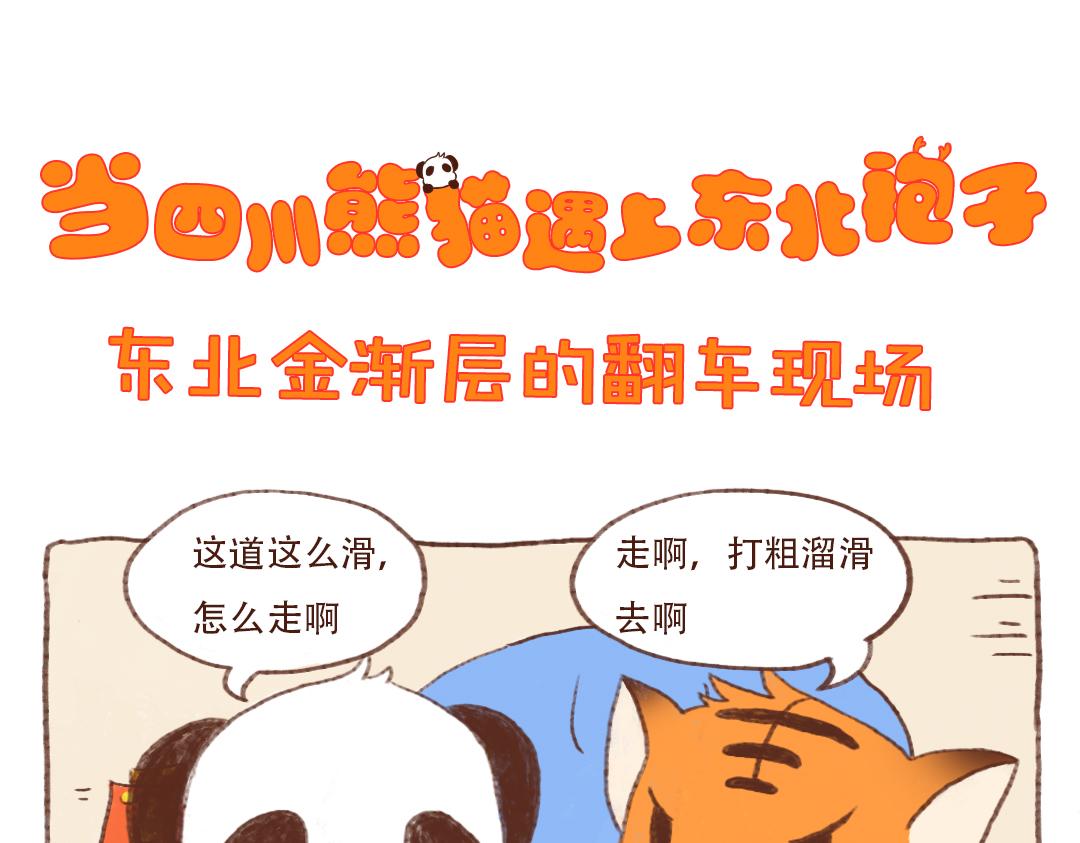 东北金渐层翻车现场-第5话