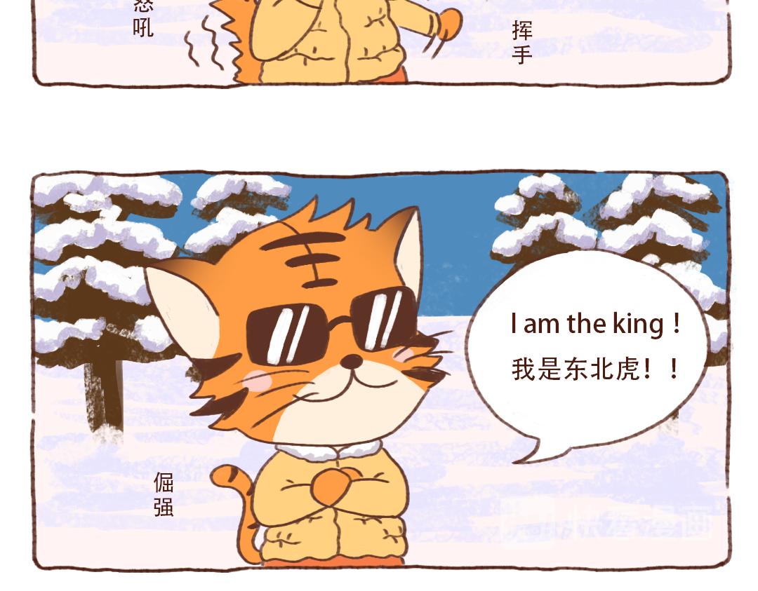 东北金渐层翻车现场-第5话