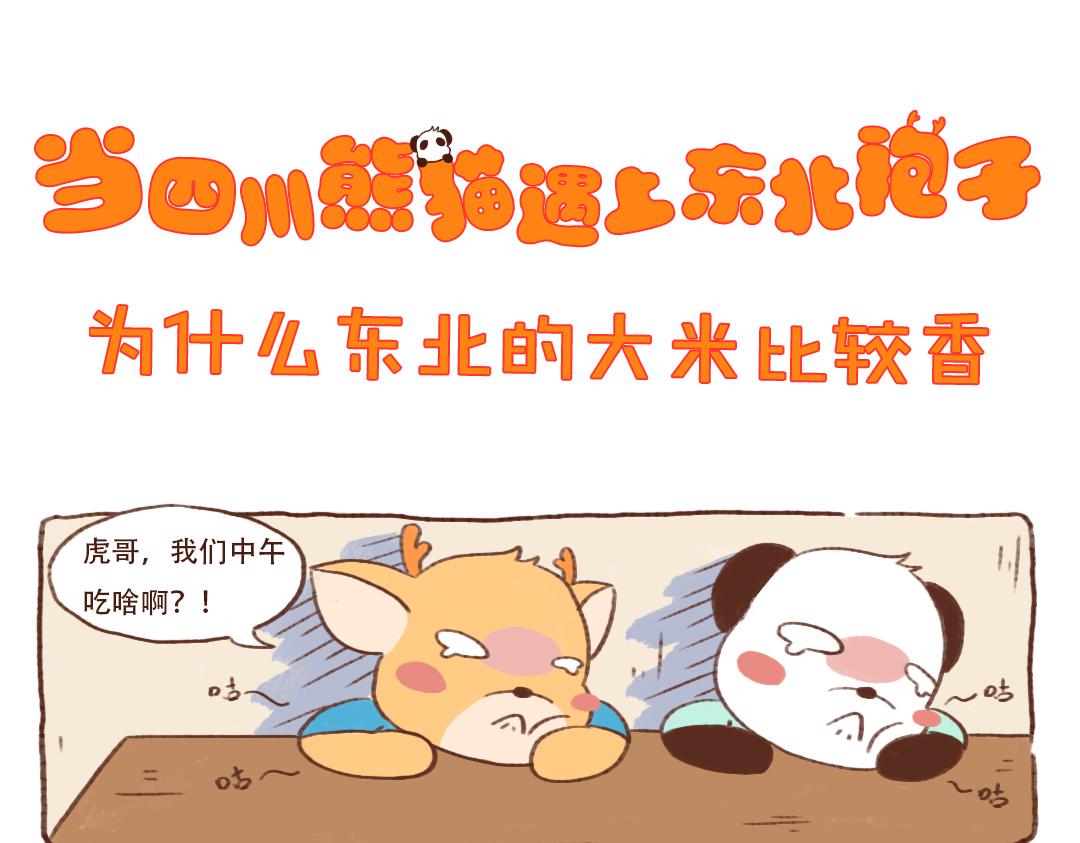 为什么东北的大米比较香-第9话