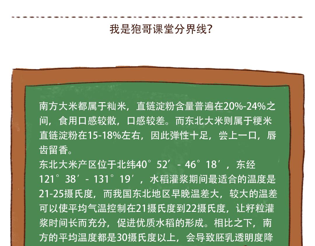 为什么东北的大米比较香-第9话