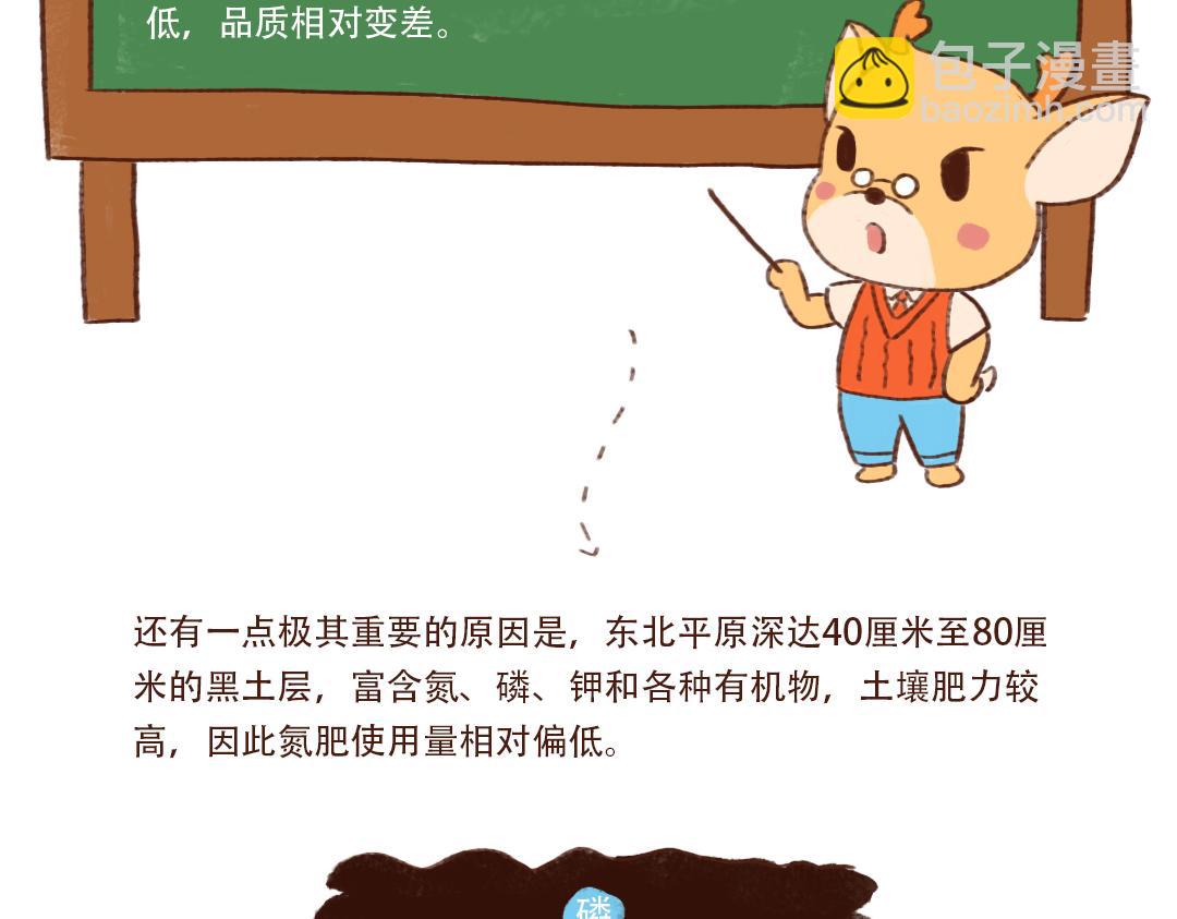 为什么东北的大米比较香-第9话