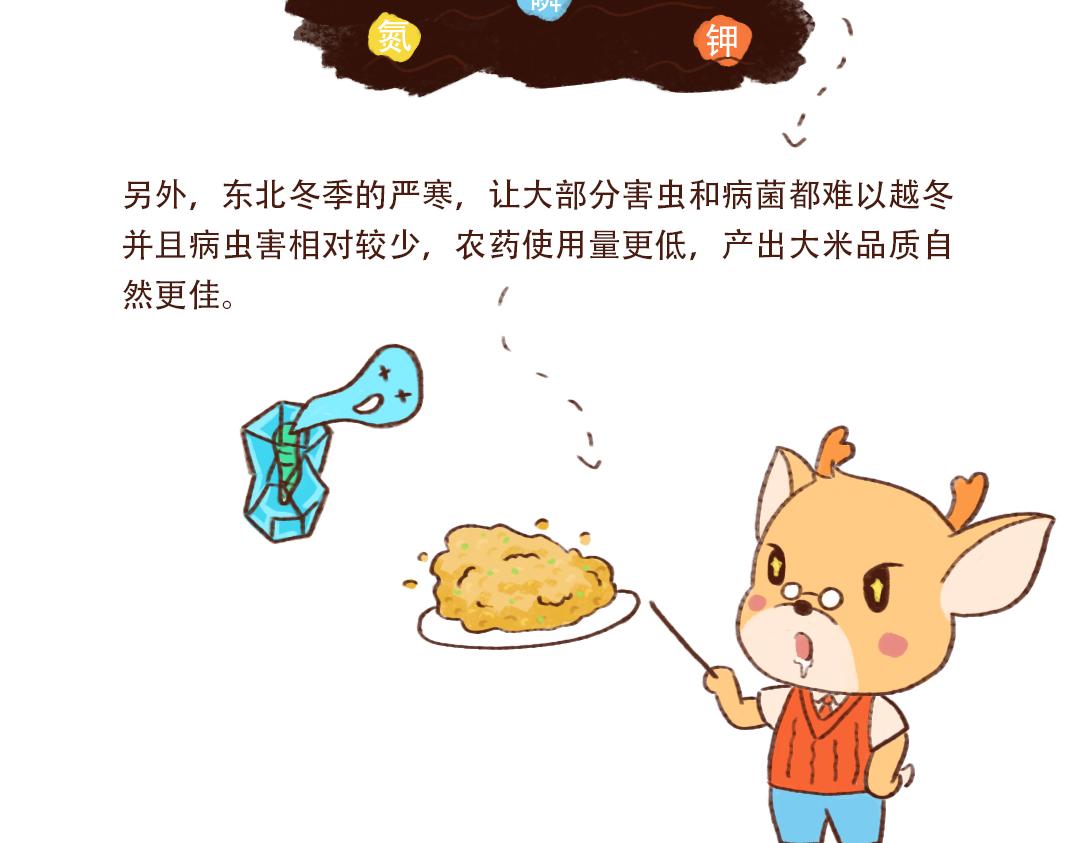 为什么东北的大米比较香-第9话