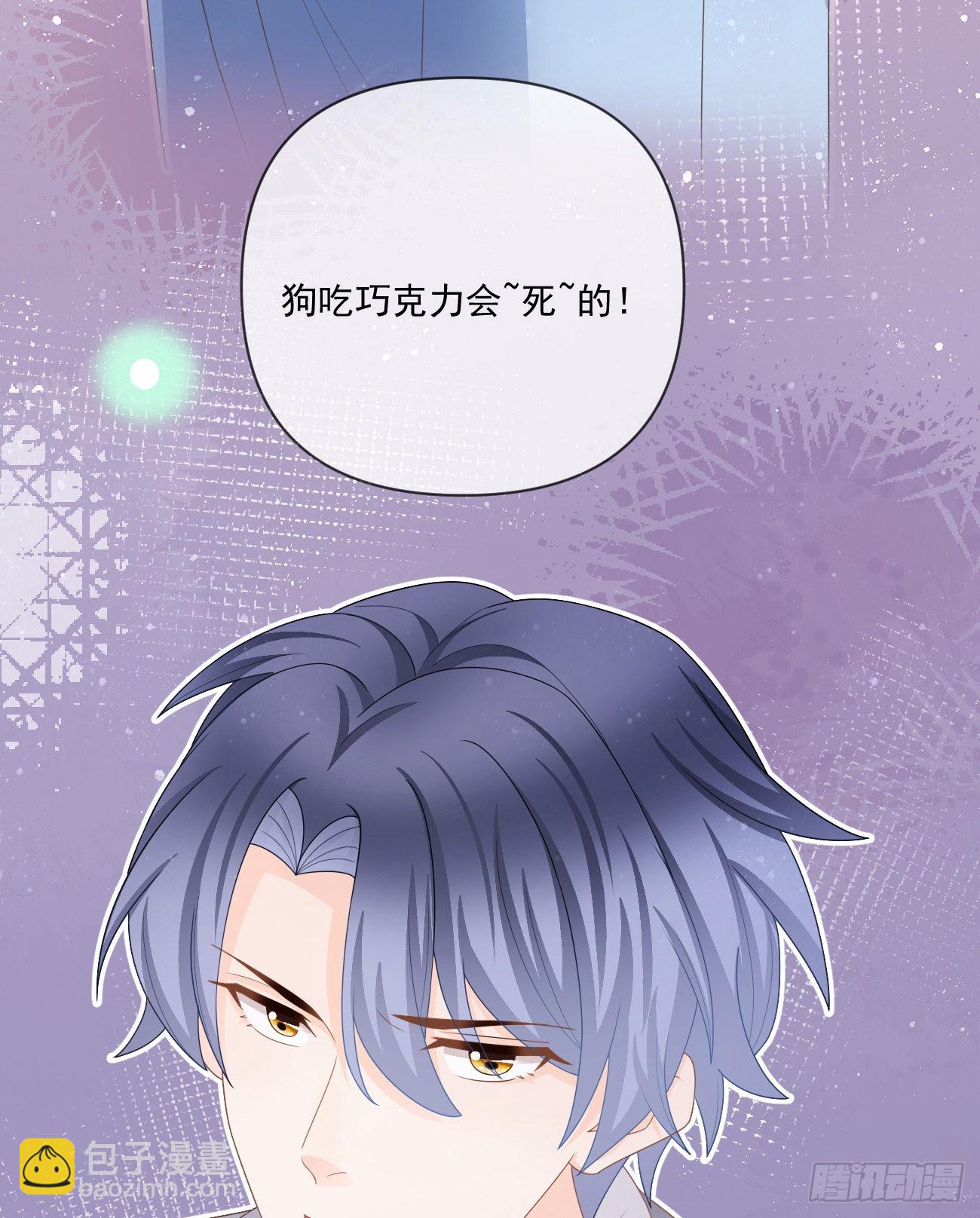 當影后不如念清華 - 狗吃巧克力會死的(1/2) - 4