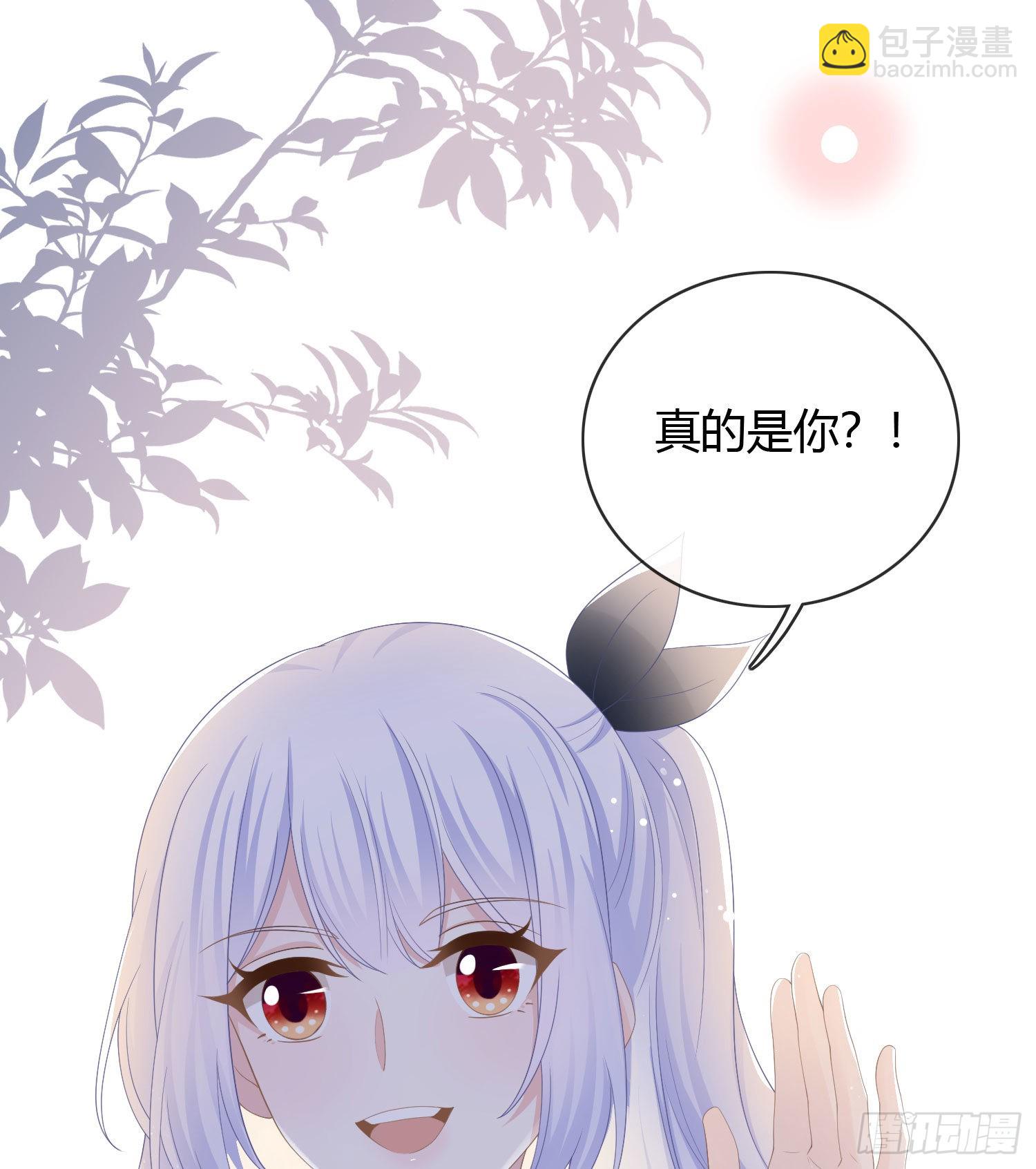 當影后不如念清華 - 一杯就倒的聶宸也 - 4