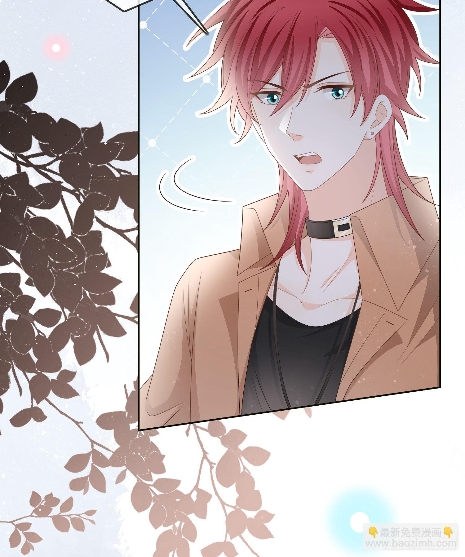 當影后不如念清華 - 挖牆腳的狗 - 1