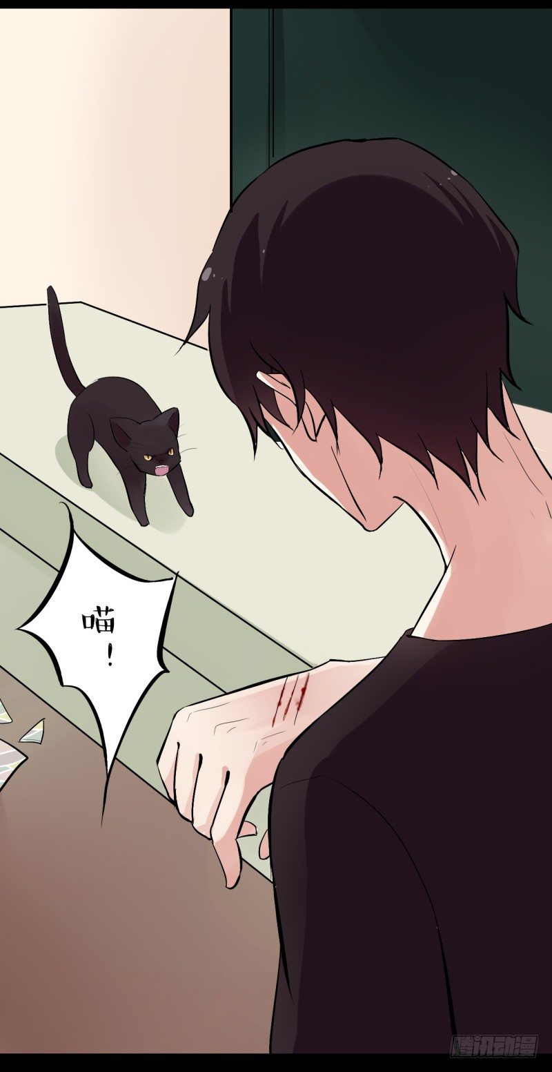 猫的报恩（3）-第11话