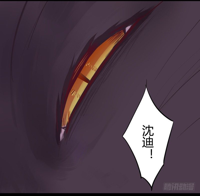 猫的报恩（5）-第13话