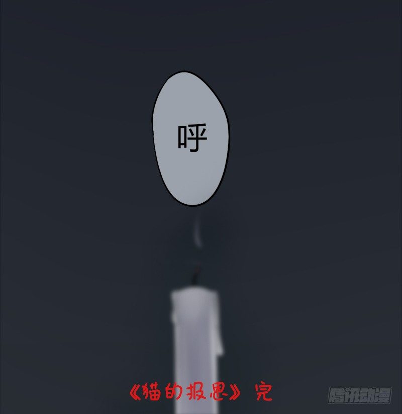 猫的报恩（7）-第15话