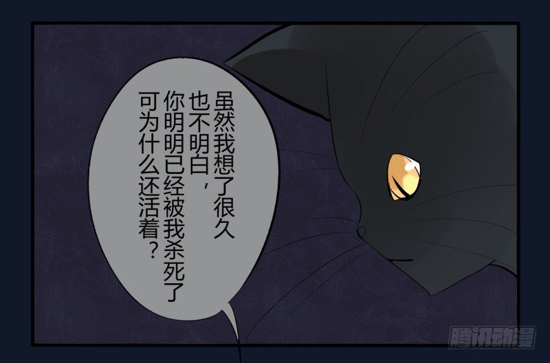 猫的报恩（7）-第15话