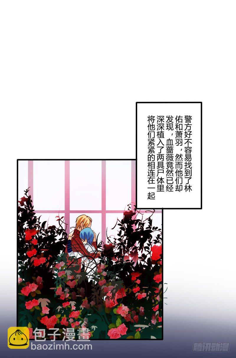 耽美詭談 - 花兒與少年（4） - 2