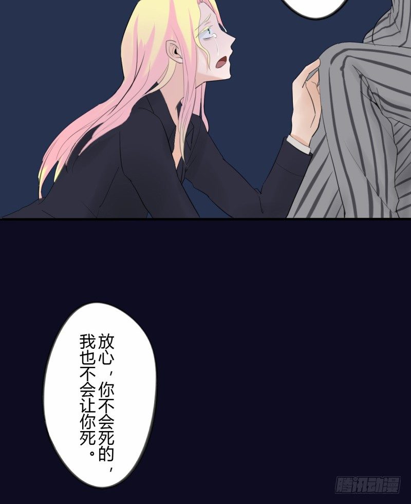 第二季-辛德瑞拉（5）(1/2)-第37话