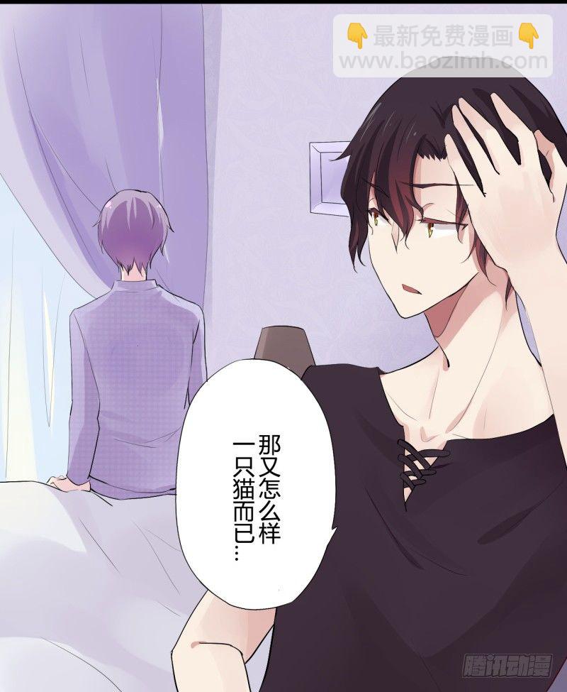 猫的报恩（1）-第9话