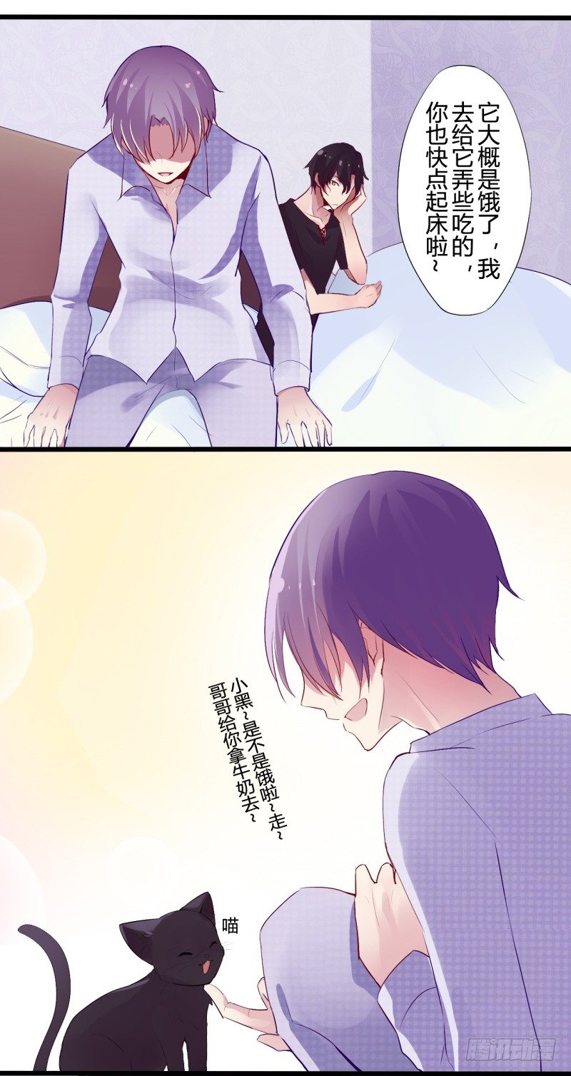 猫的报恩（1）-第9话