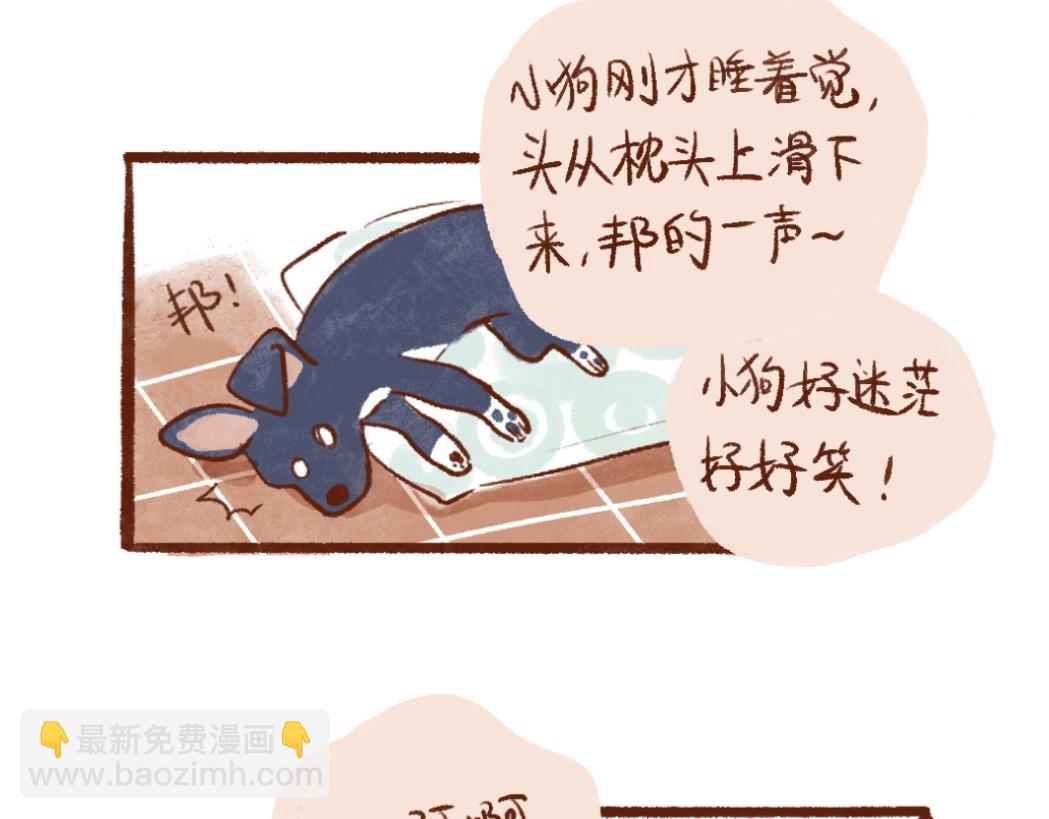 100 犯错小狗荣归故里！-第101话