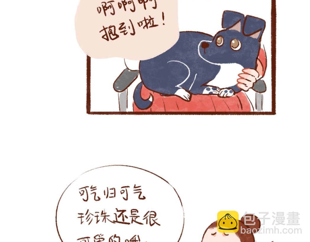 100 犯错小狗荣归故里！-第101话