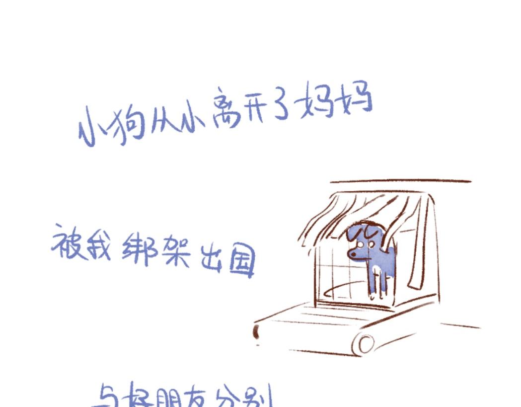 100 犯错小狗荣归故里！-第101话