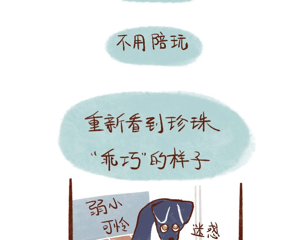 100 犯错小狗荣归故里！-第101话