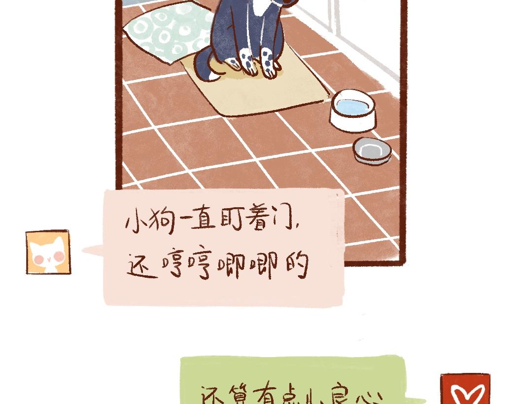 100 犯错小狗荣归故里！-第101话