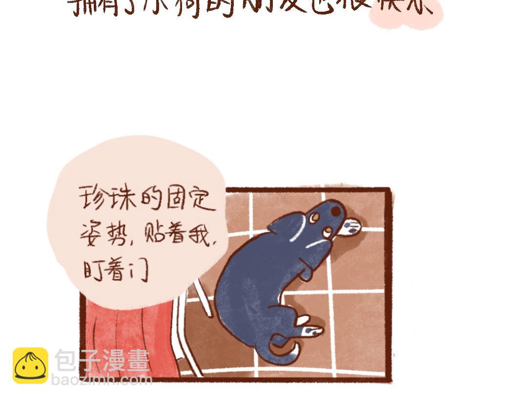 100 犯错小狗荣归故里！-第101话