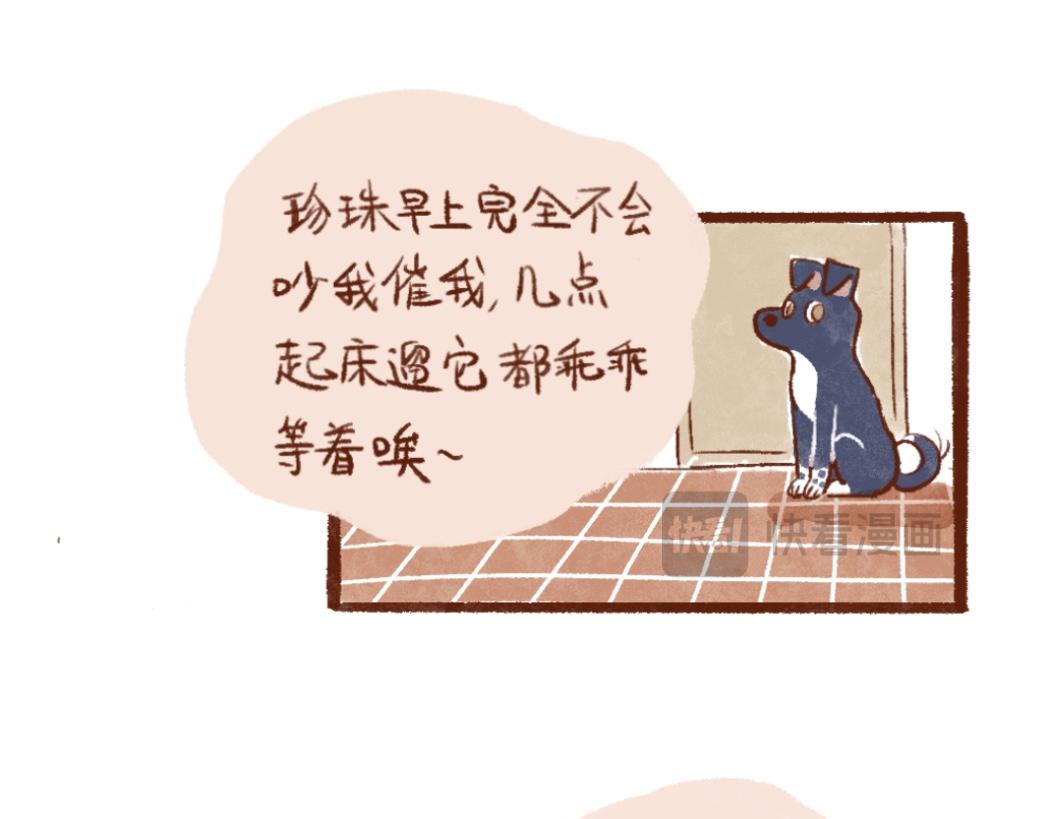 100 犯错小狗荣归故里！-第101话