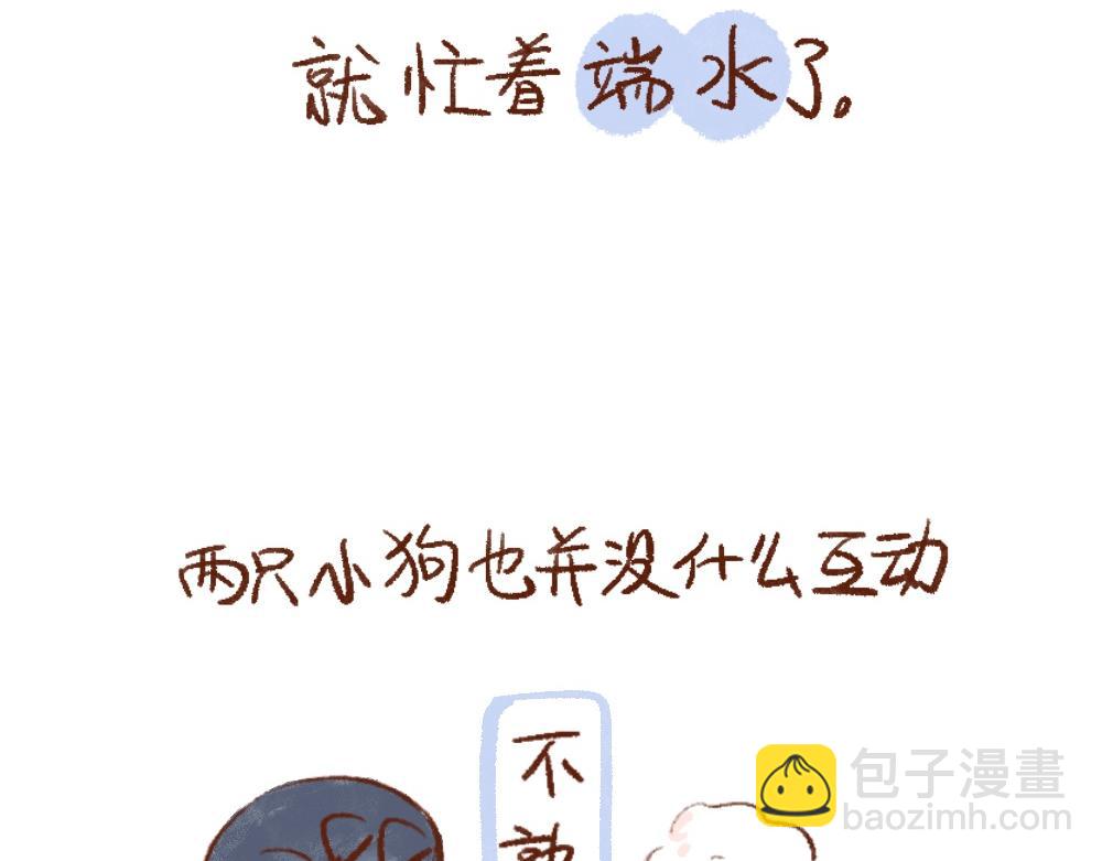 單身研究報告 - 110 再要一隻小狗嗎？ - 4