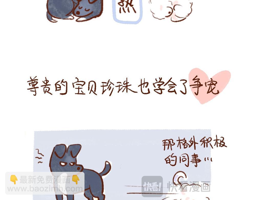 單身研究報告 - 110 再要一隻小狗嗎？ - 5