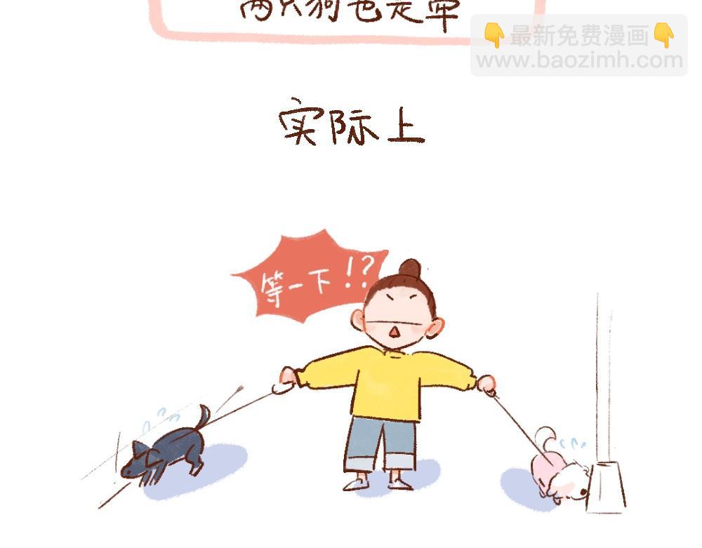 單身研究報告 - 110 再要一隻小狗嗎？ - 1