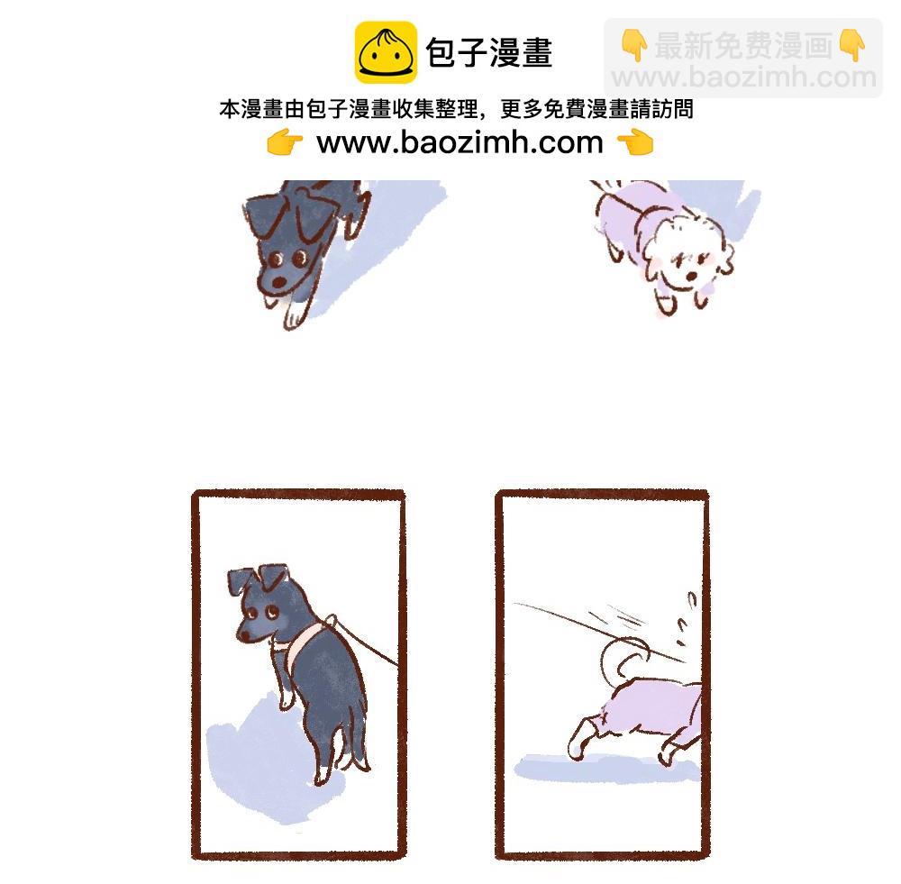 單身研究報告 - 110 再要一隻小狗嗎？ - 3