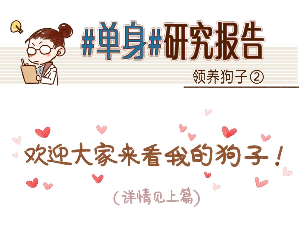 020 领养了这只狗子！-第21话