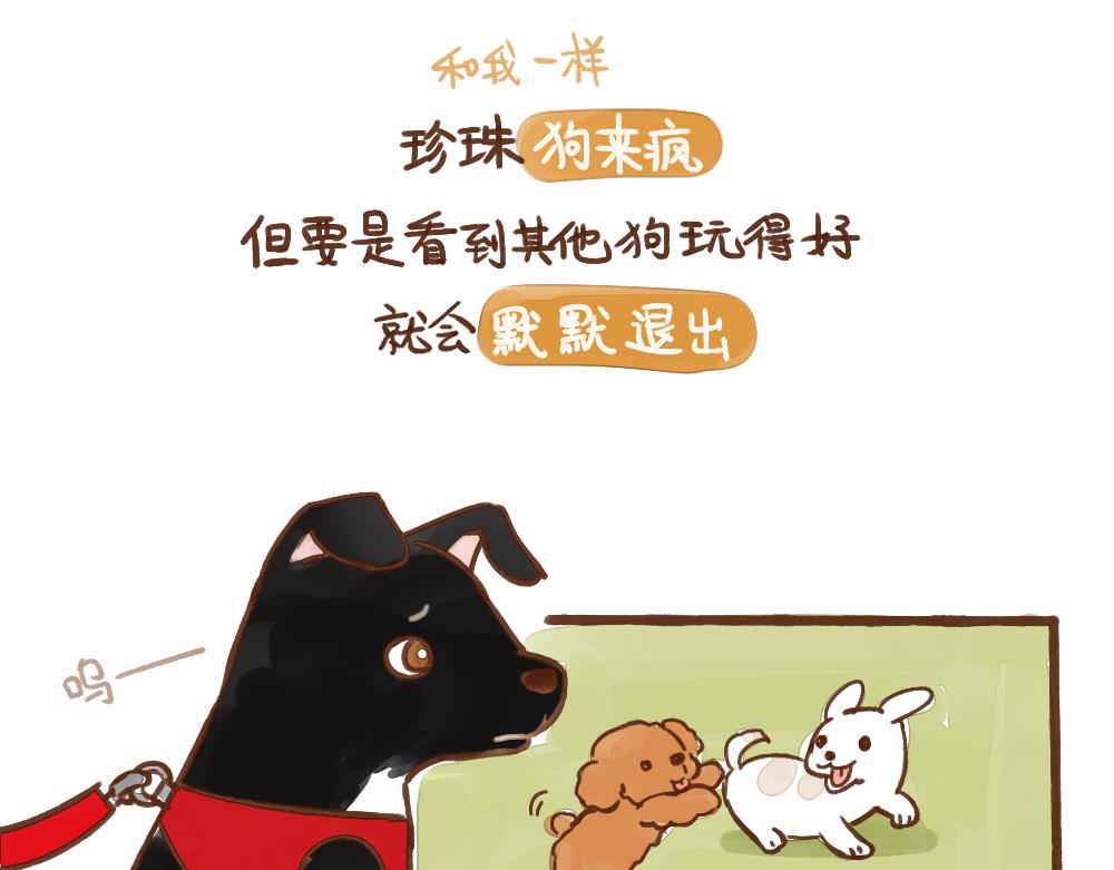 030 命中注定/自作多情-第31话