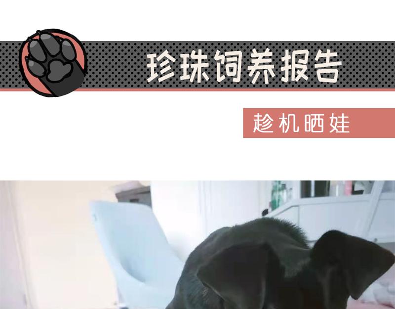 044 为什么大家喜欢粘人精-第45话