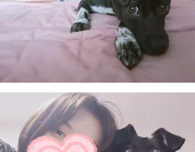 044 为什么大家喜欢粘人精-第45话