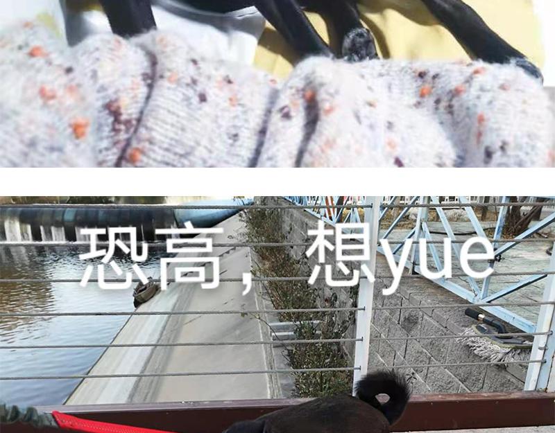 044 为什么大家喜欢粘人精-第45话