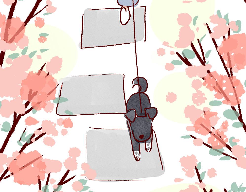 074 婚姻不可怕，可怕的是&hellip;&hellip;-第75话