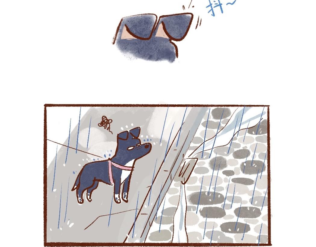 094 小狗去海边旅游啦！-2-第95话