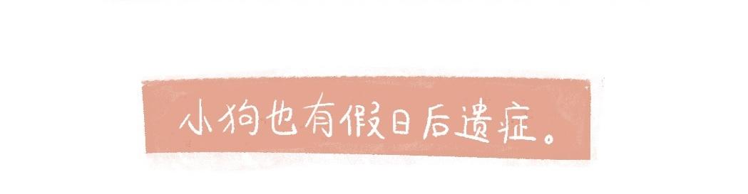 094 小狗去海边旅游啦！-2-第95话