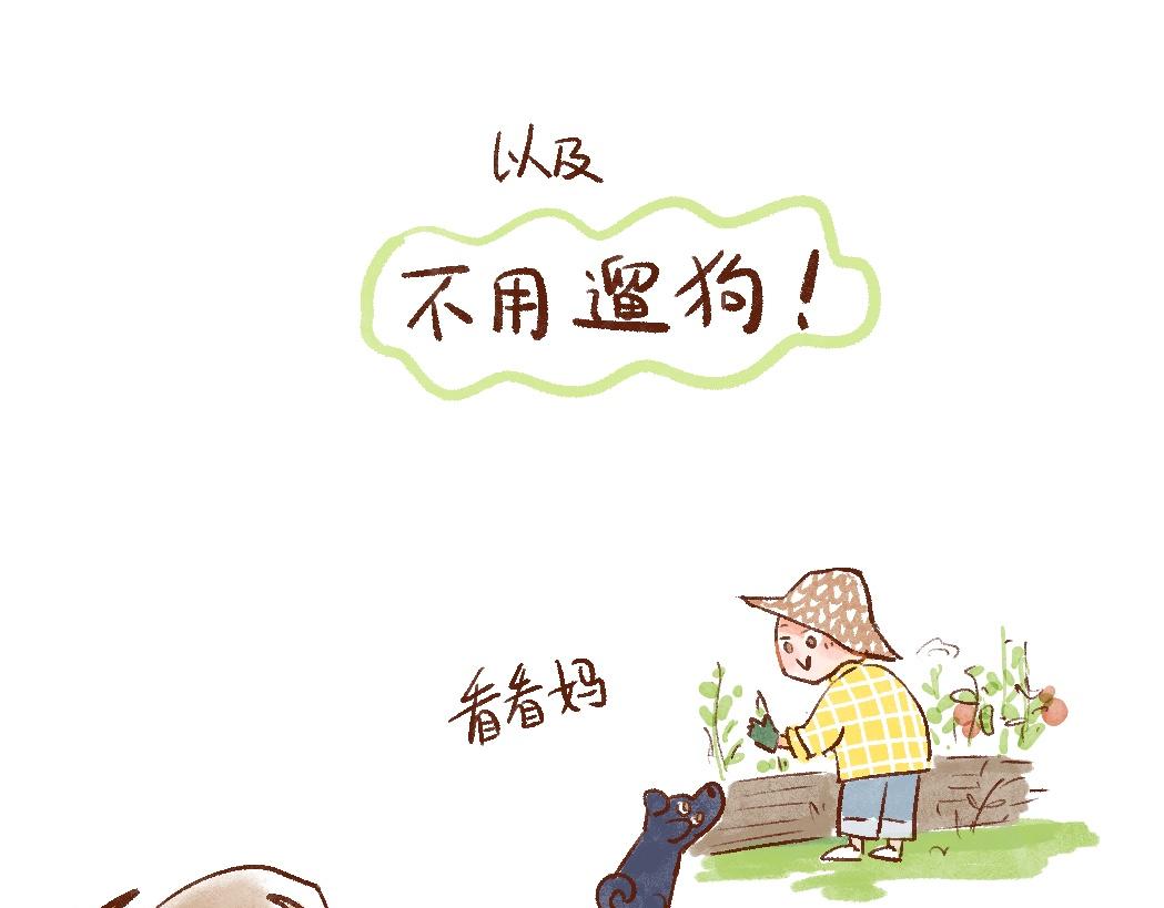 097 带小狗去农场打工换宿啦-第115话