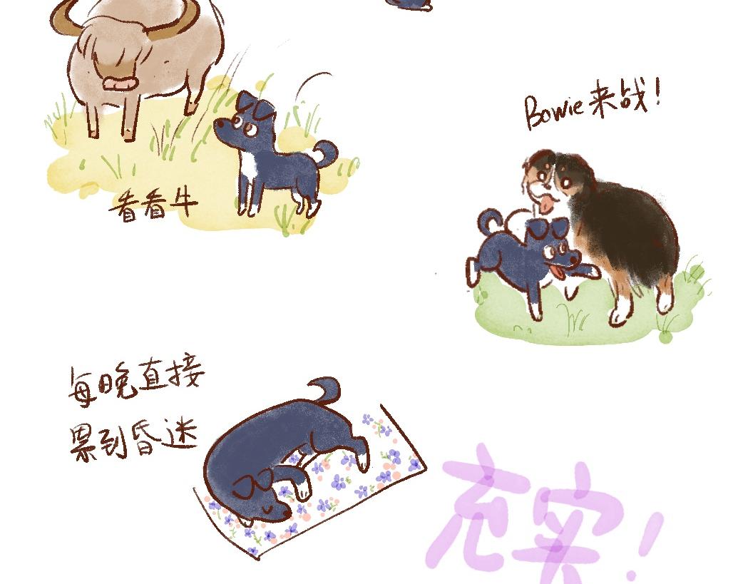 097 带小狗去农场打工换宿啦-第115话