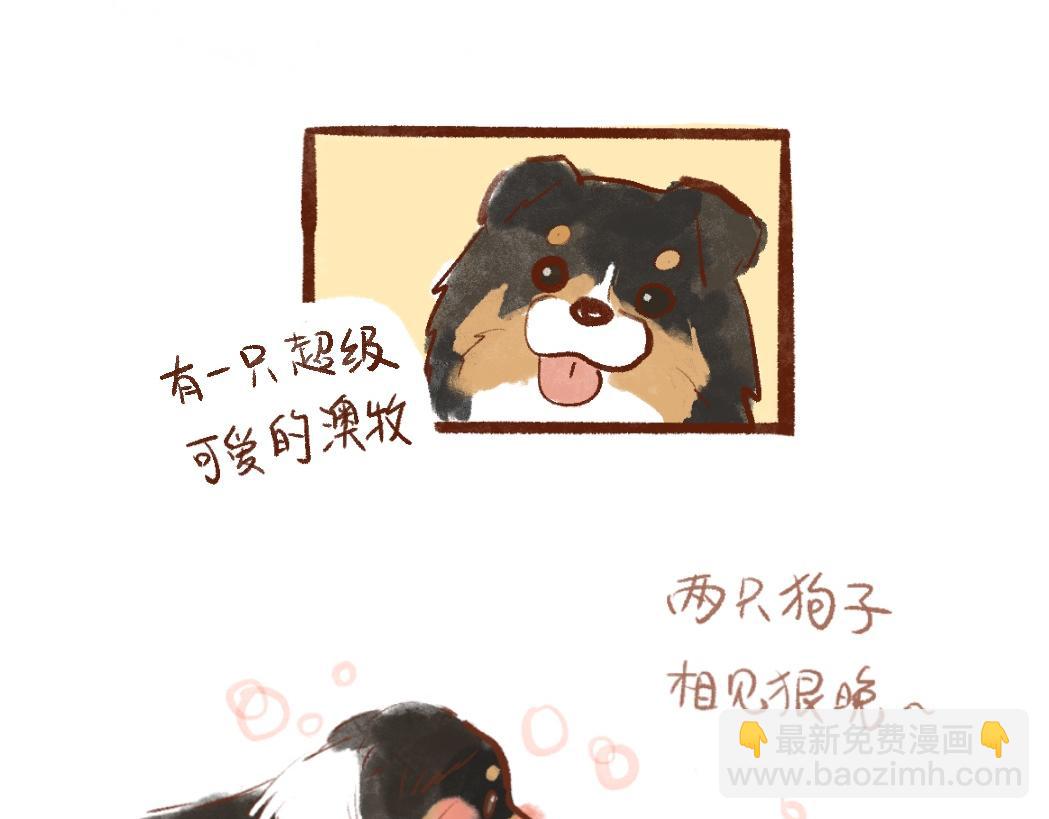 097 带小狗去农场打工换宿啦-第115话