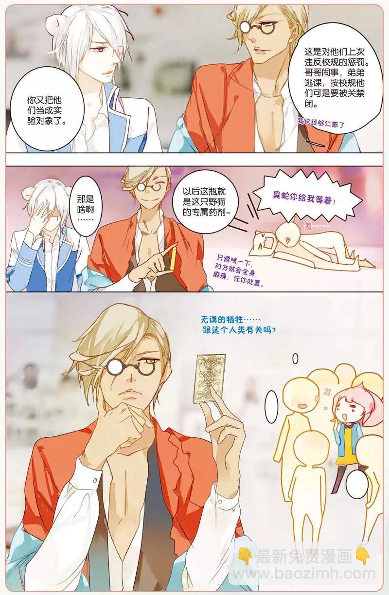旦塔觀察日記 - 第03回 少女漫畫的節奏 - 2
