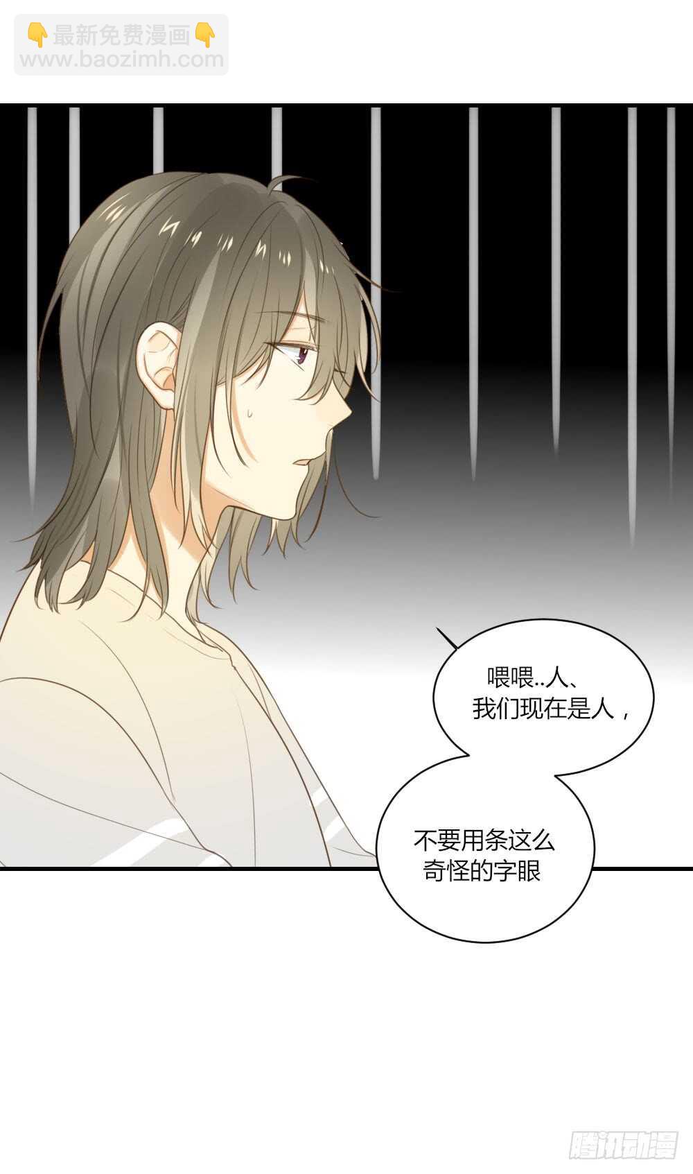 其他两对在哪里-第73话